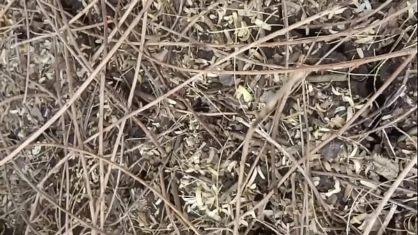 Indian Couple Outdoor Sex In A Jungle Deep Forest – Free HD MILF Porn